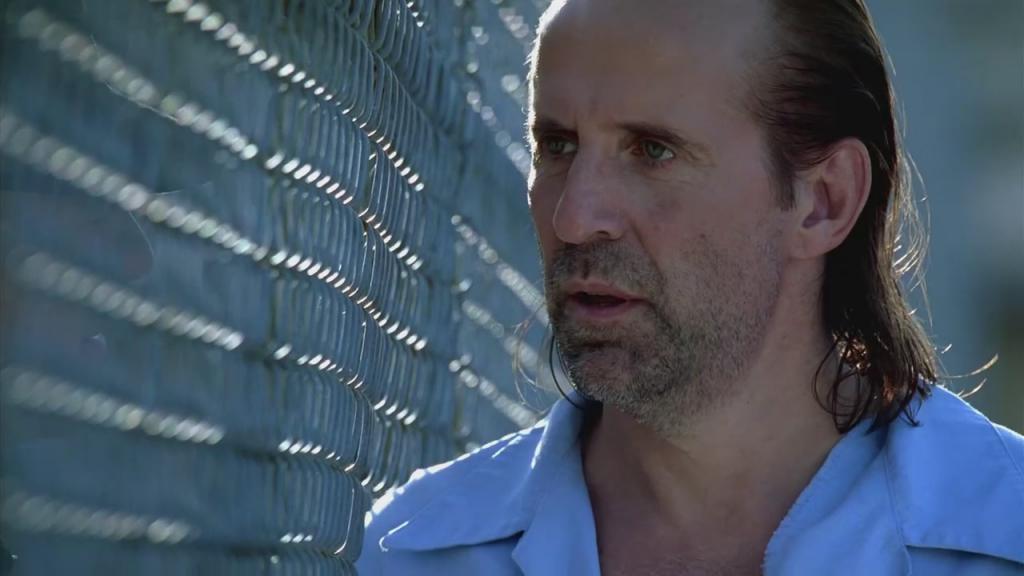 Prison Break Season 1 2 3 4 Complete 720p Bluray X264.rar.rar